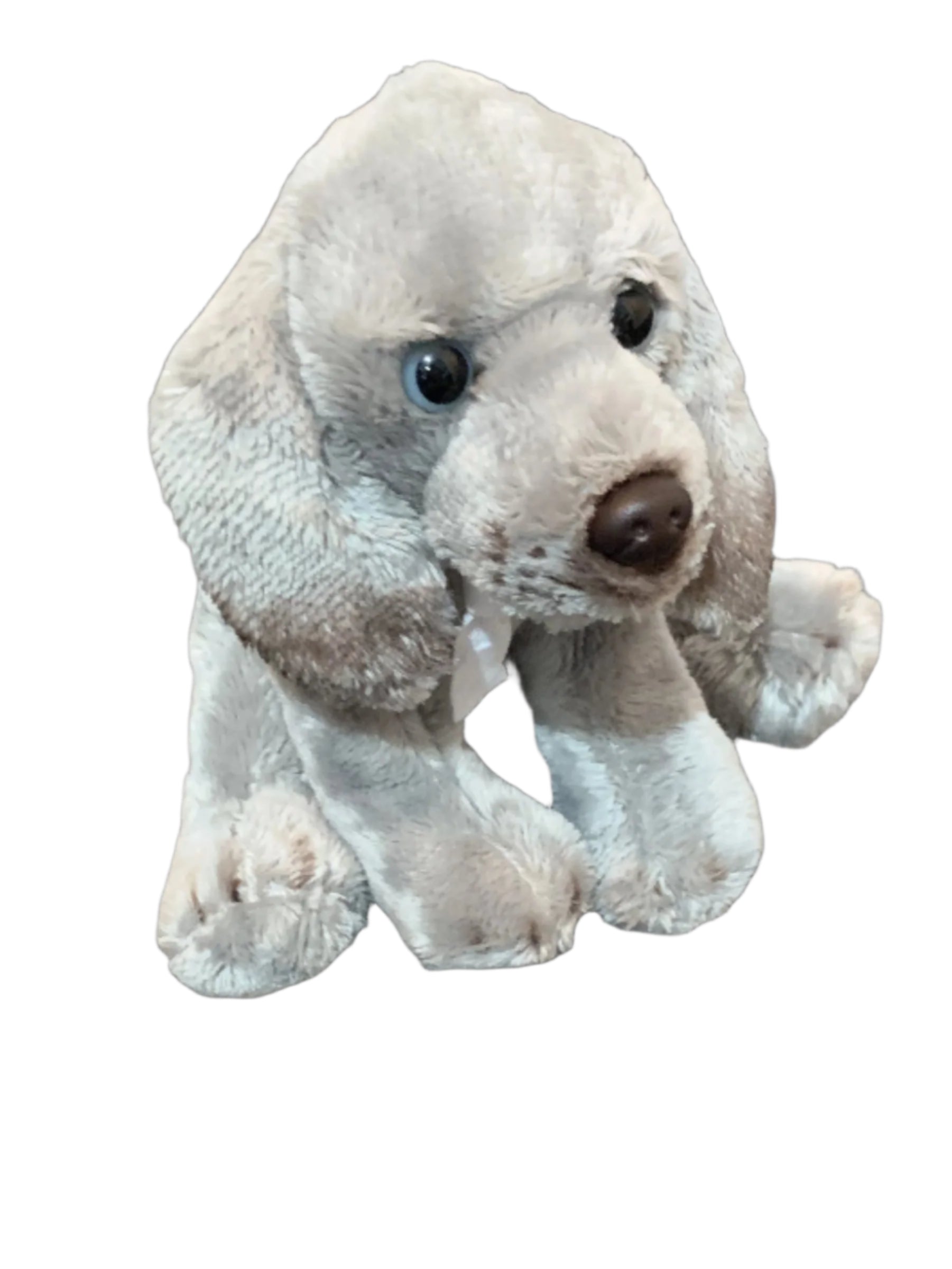 Lewis Rollo Cuddly Dog