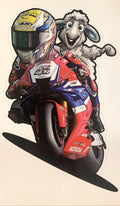 Tommy Bridewell Sheep on Honda Sticker